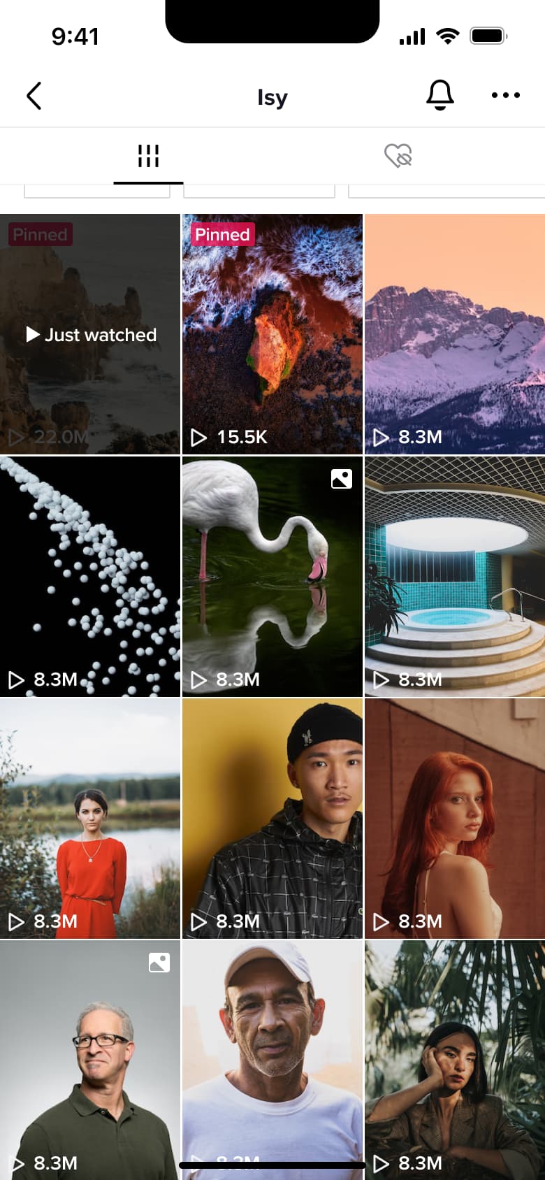 User profile video grid scrolled with pinned and view counts.