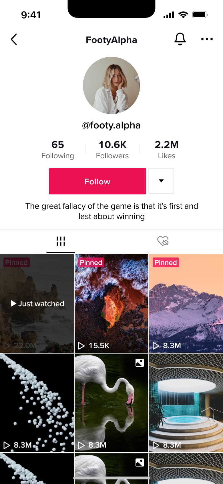 Profile with bio quote and video grid.