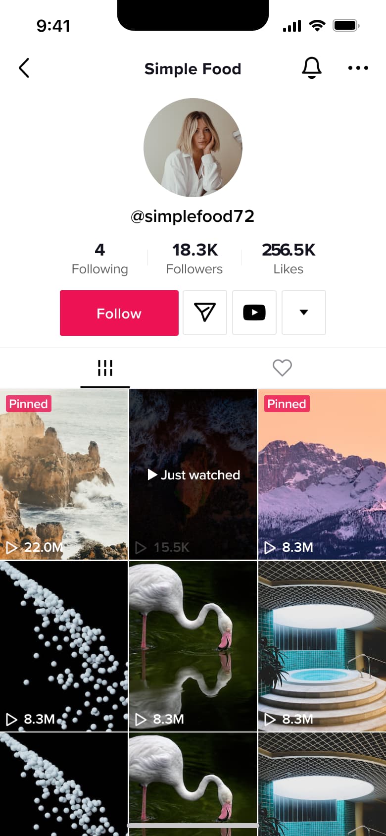 Profile with follow and video links.