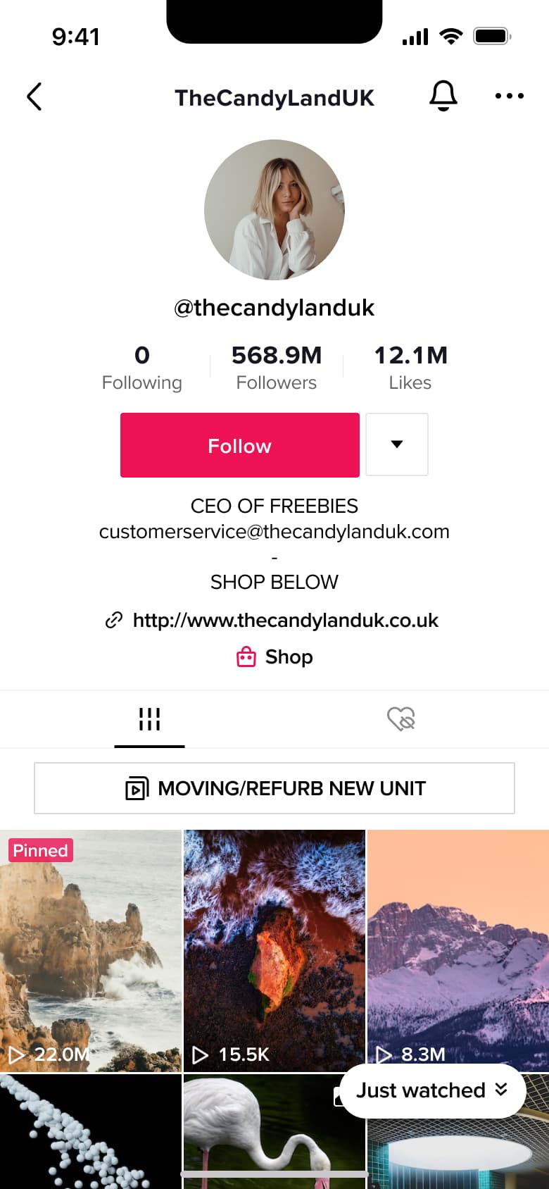 Business profile with shop link and pinned videos.