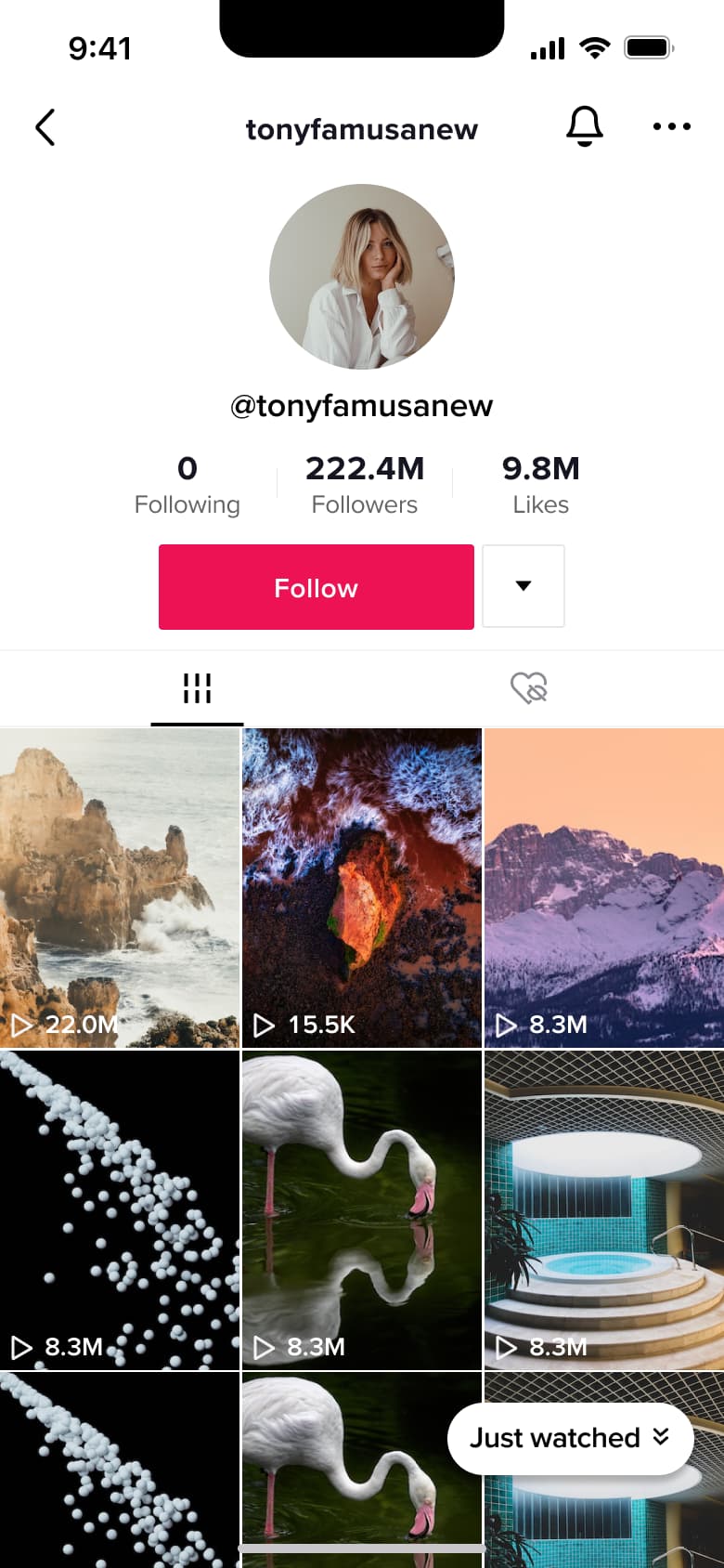 Profile with zero following and pinned grid.