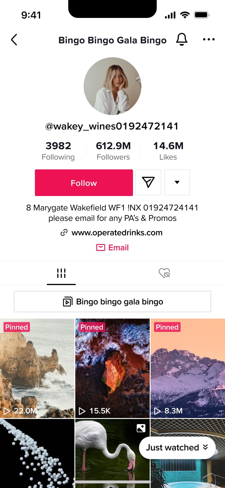 Business profile with email button and playlist.