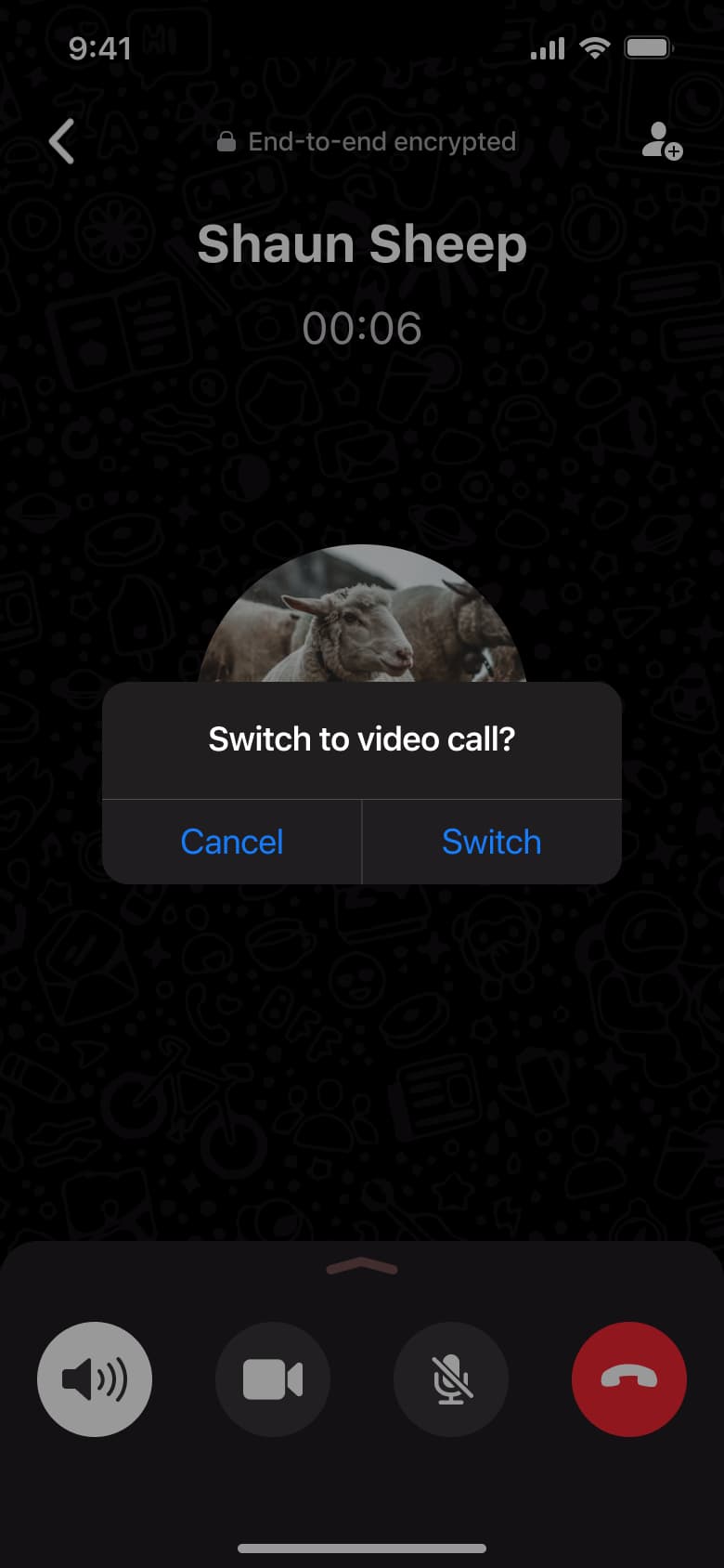 Switch to video call dialog during voice call.