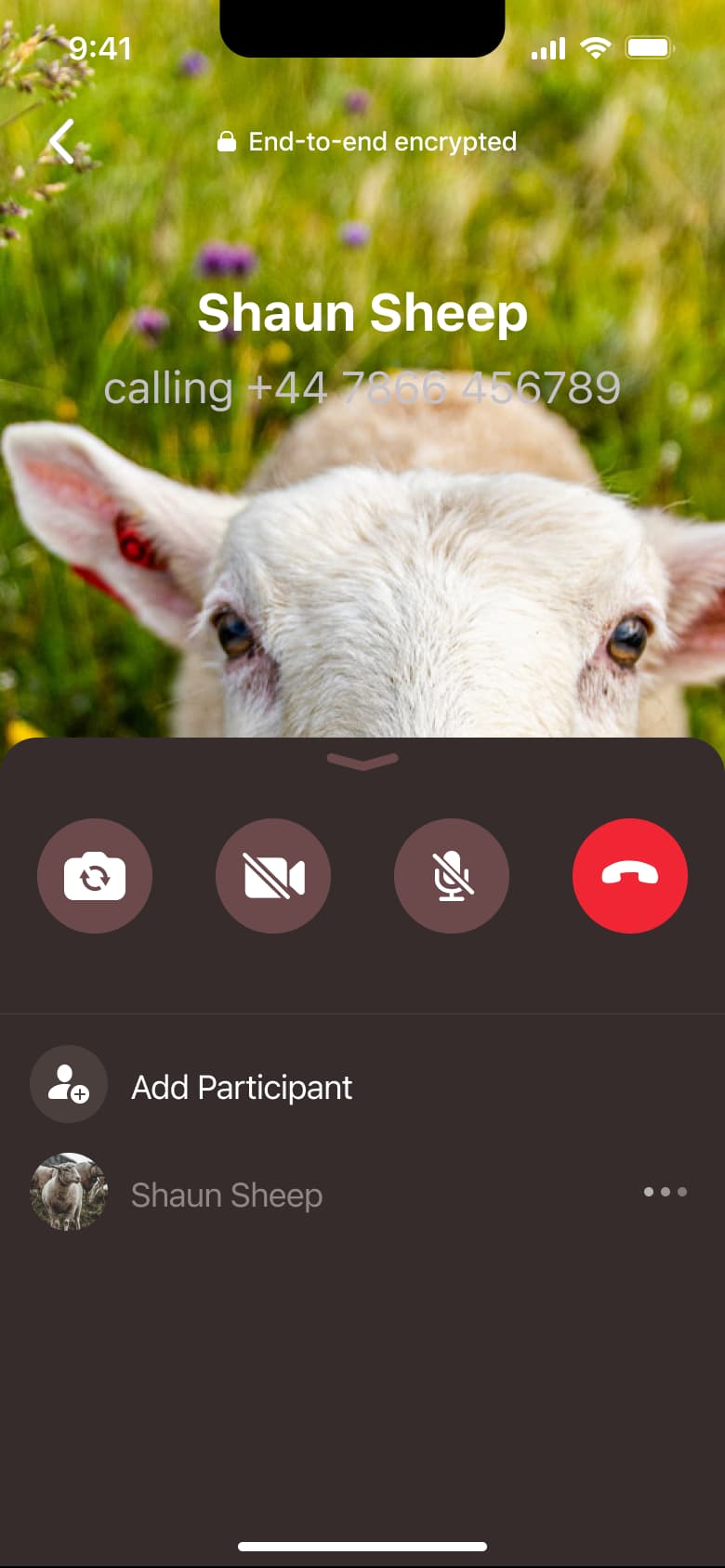 Video call with expanded sheet: add participant.