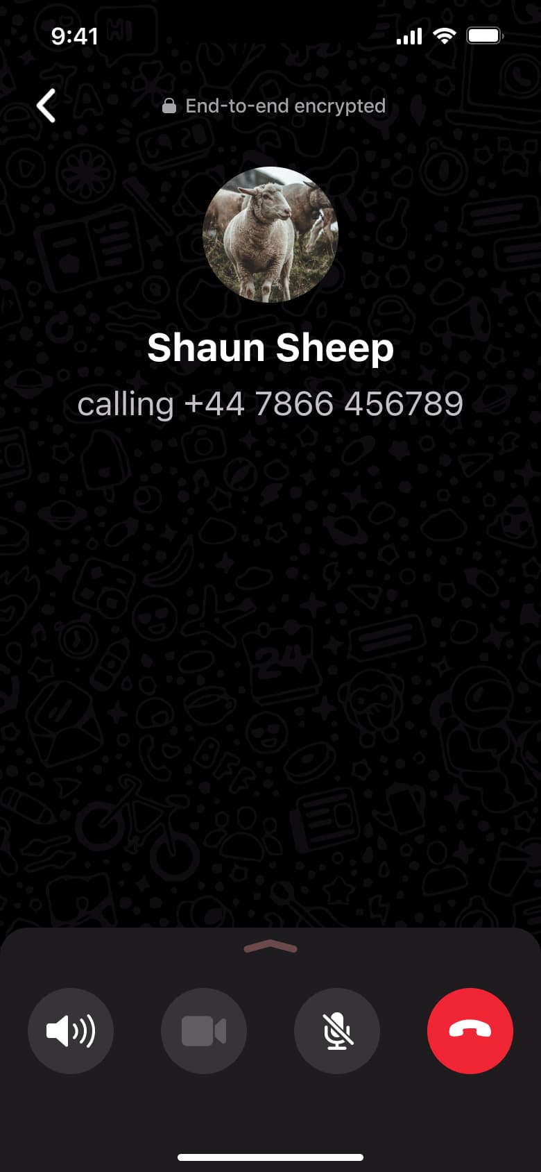 Voice call calling screen.