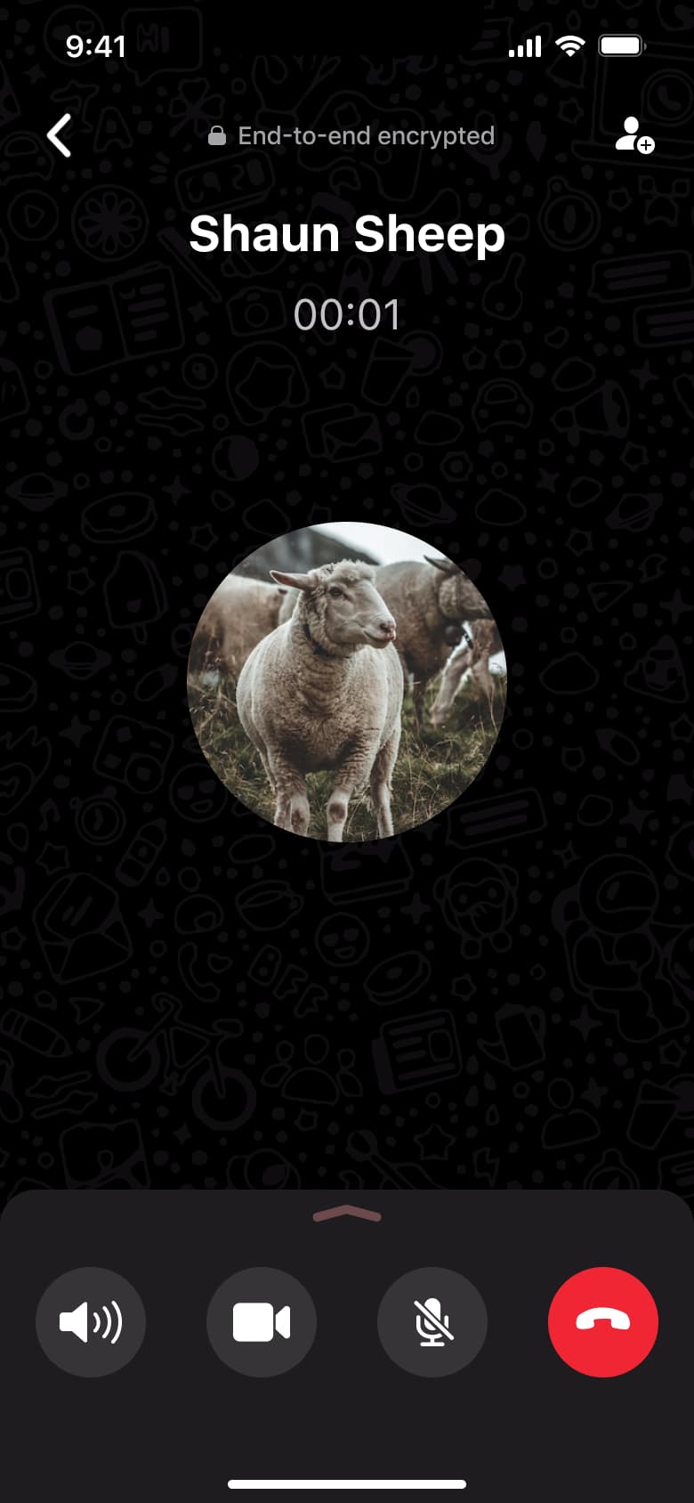 Voice call connected with timer.