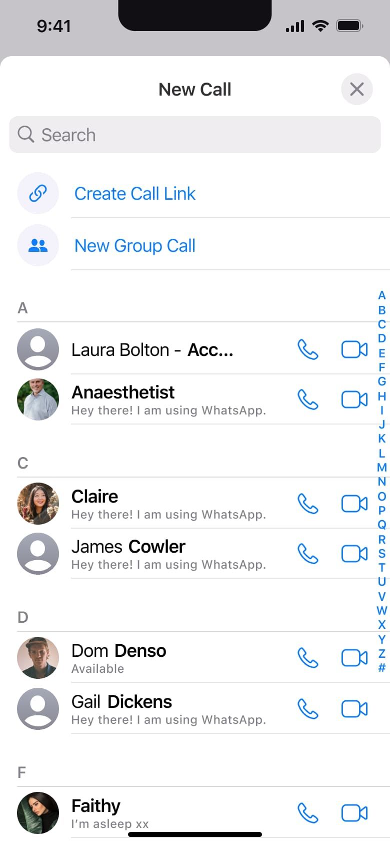 New call: call link, new group call and contacts with voice and video buttons.