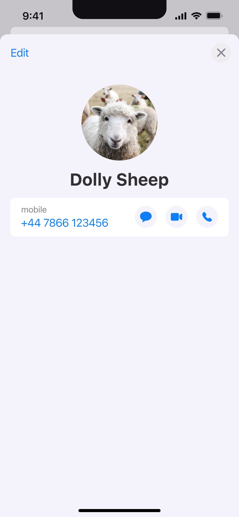 Contact card with profile photo.