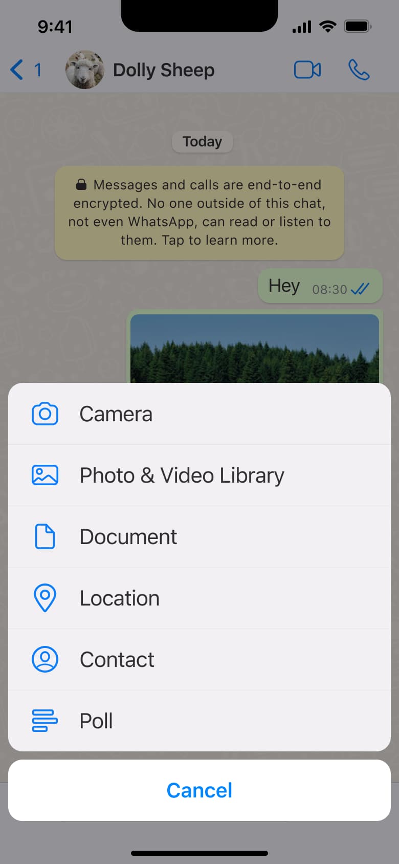 Attachment sheet for sharing a contact.