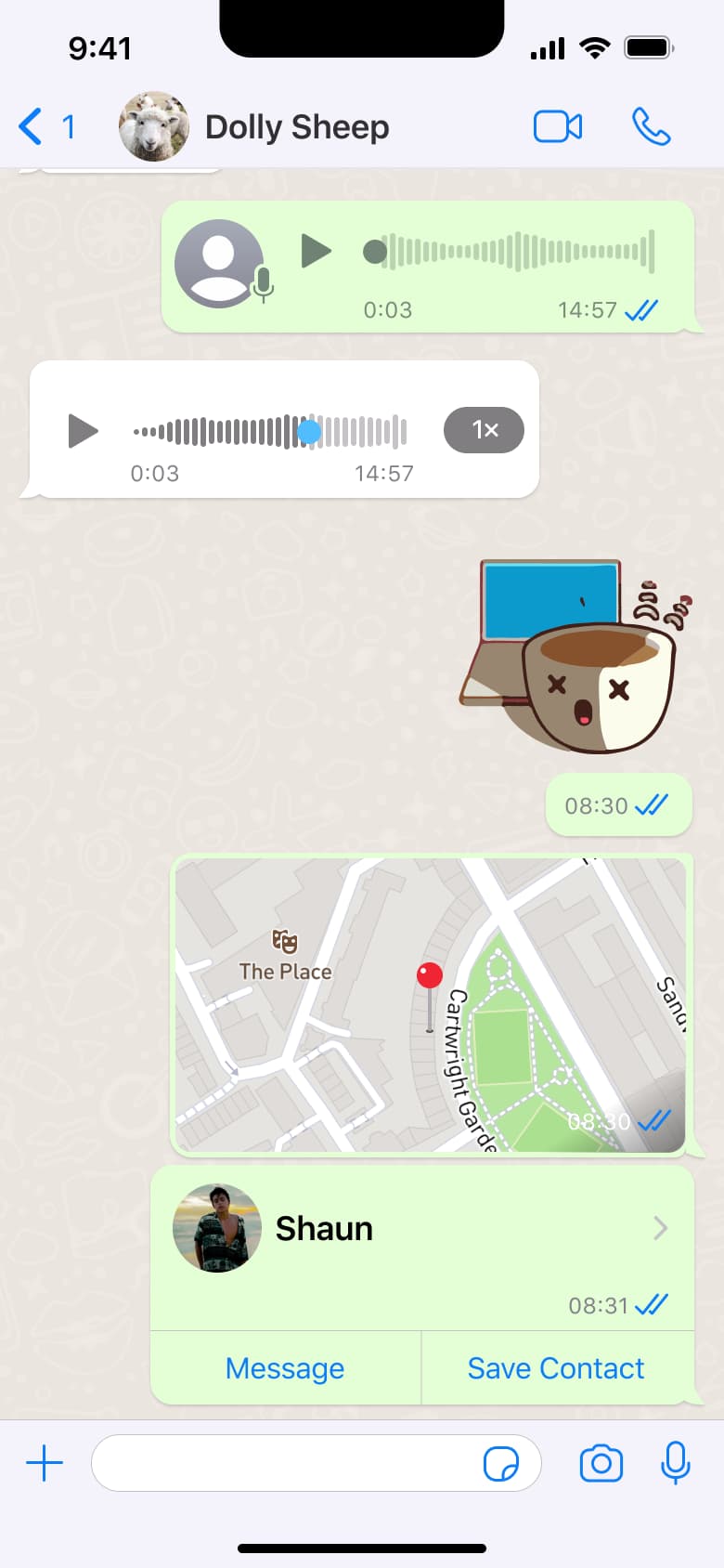 Chat with shared contact card: message and save contact.