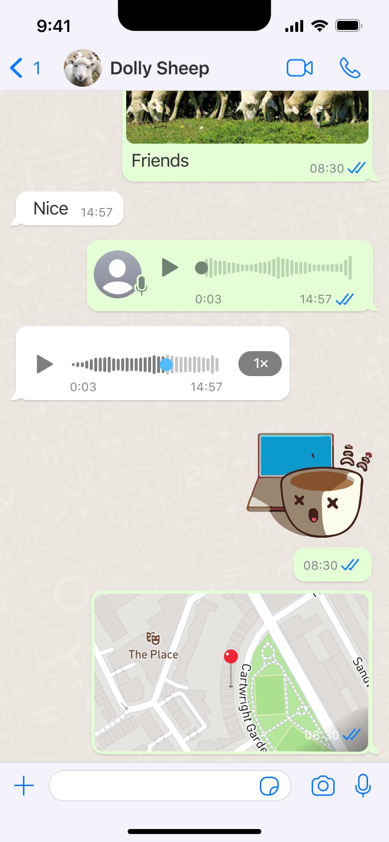 Chat with shared location card.