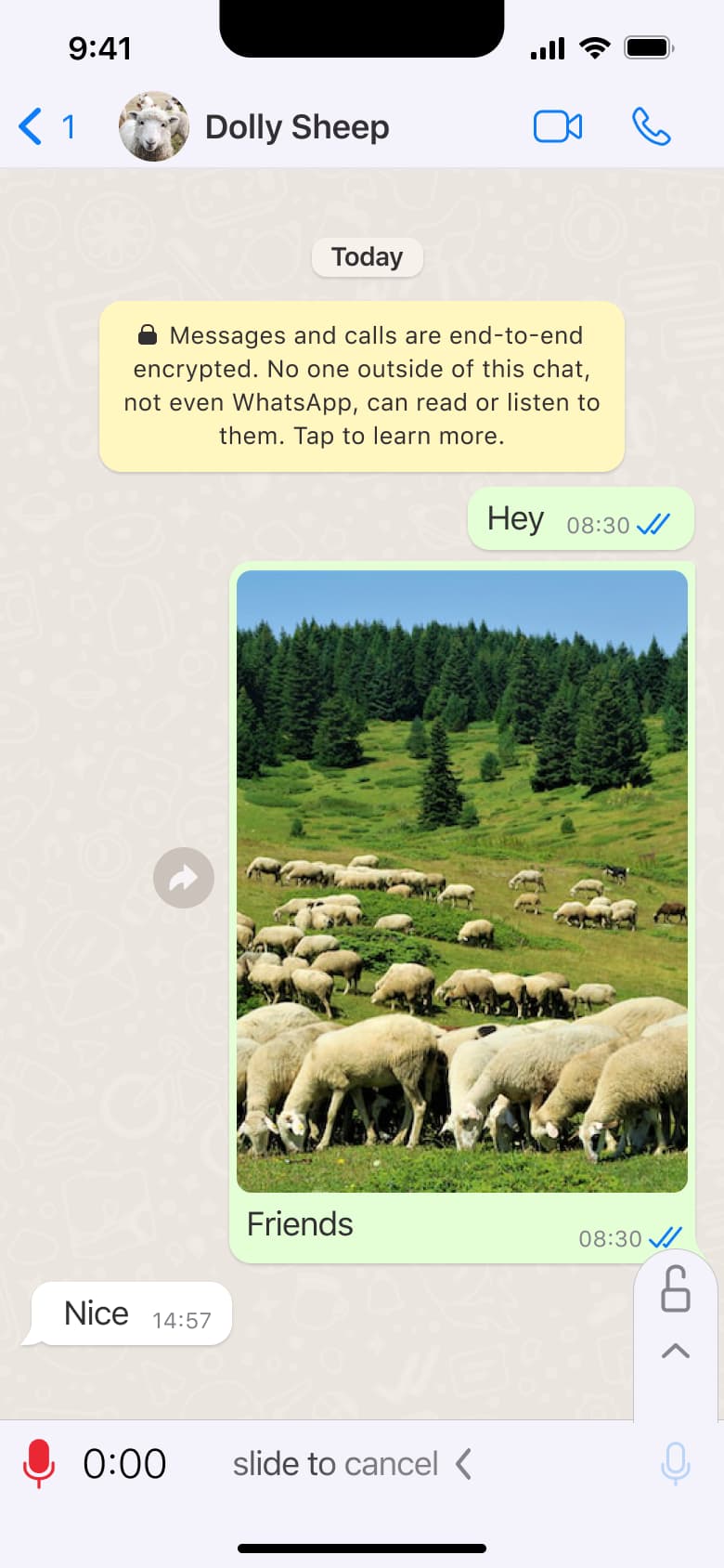 Voice recording in progress with cancel hint.
