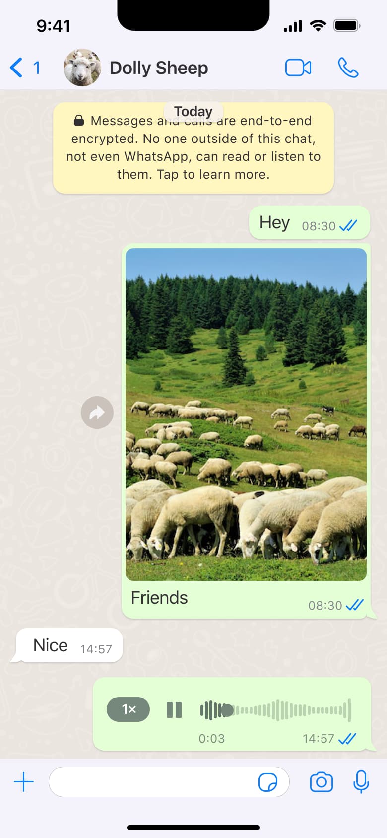 Voice message preview with playback speed.