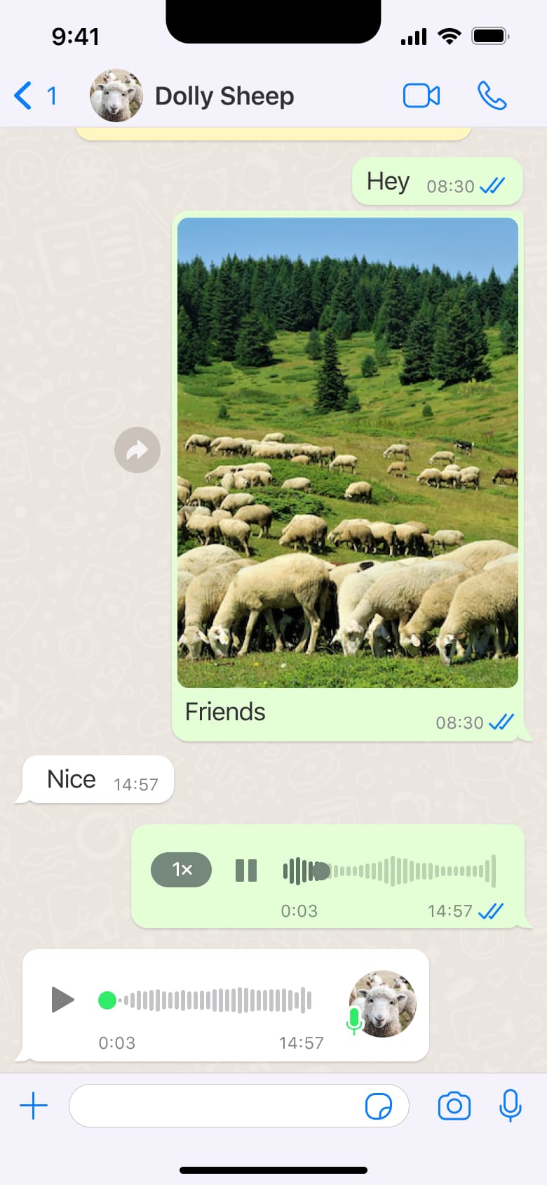 Chat with sent voice message and preview bar.