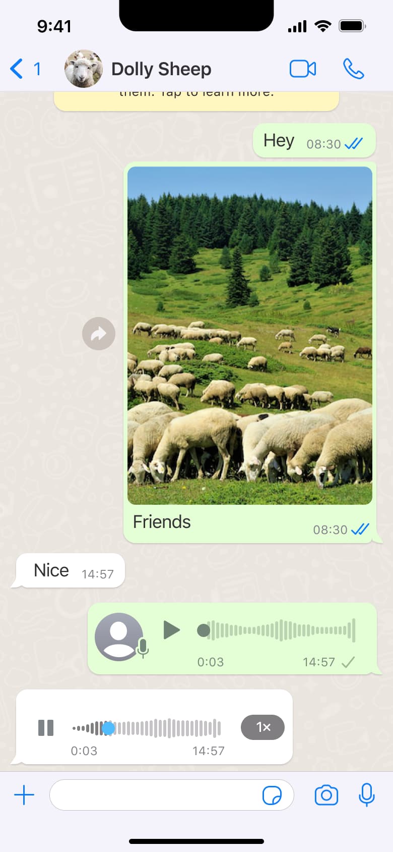 Chat with voice messages sent.