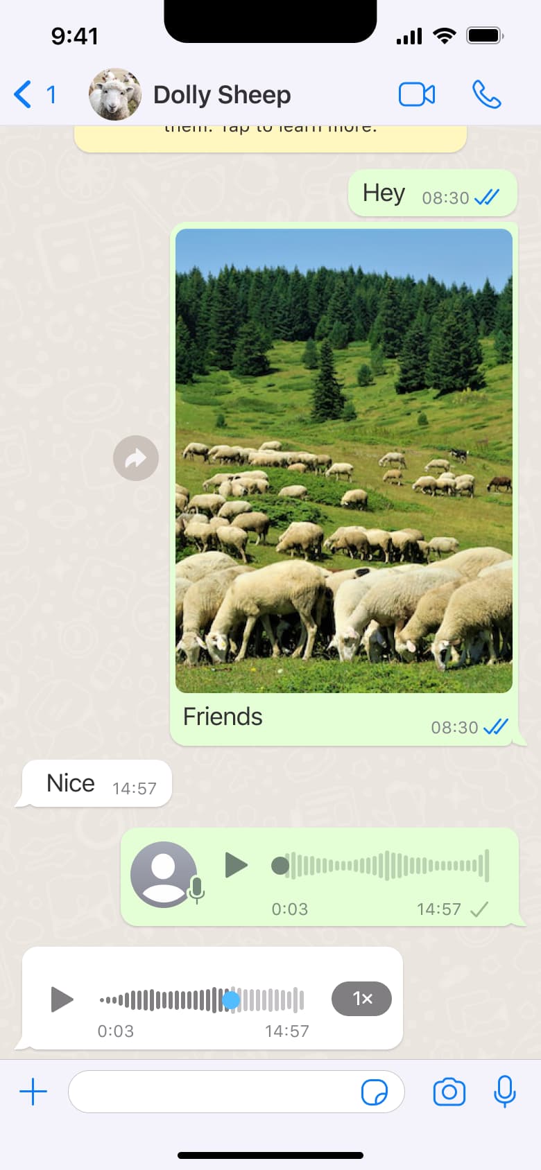 Voice message playing in chat.