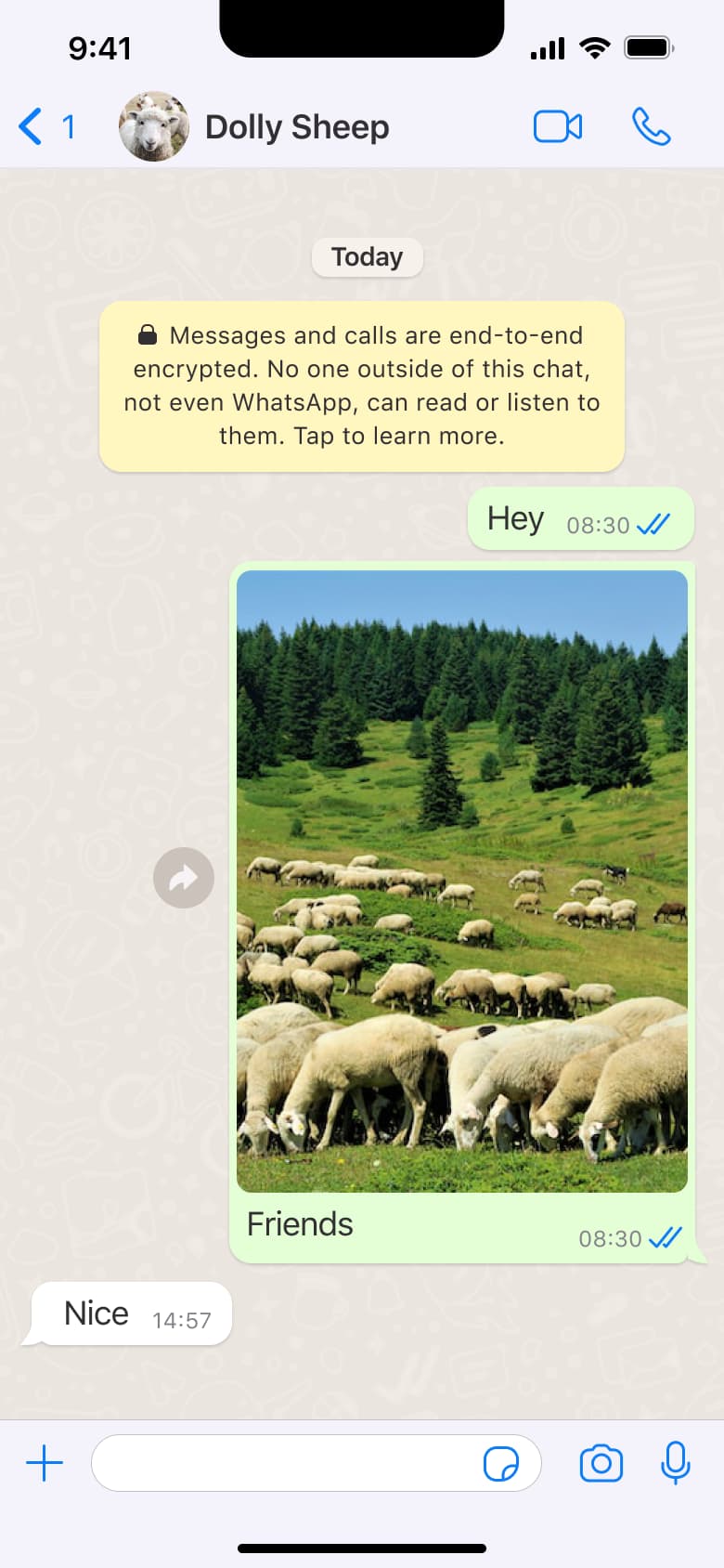Chat thread with sent photo and caption.
