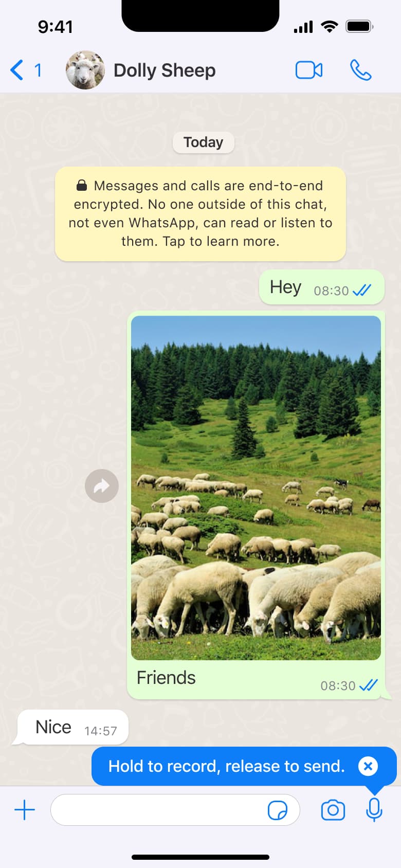 Hold to record voice message tooltip.