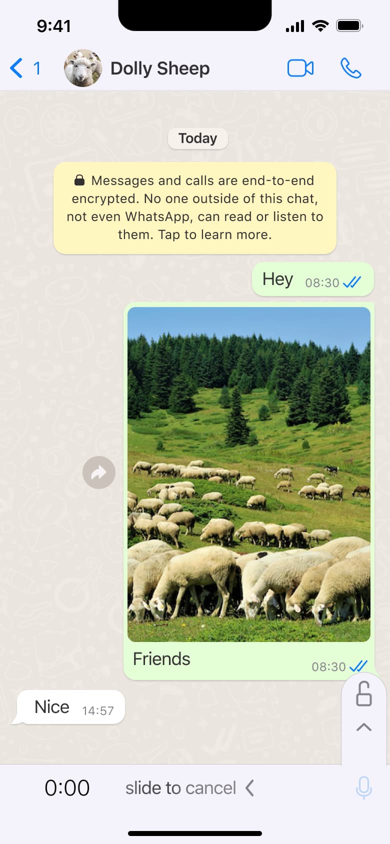 Recording a voice message, slide to cancel.