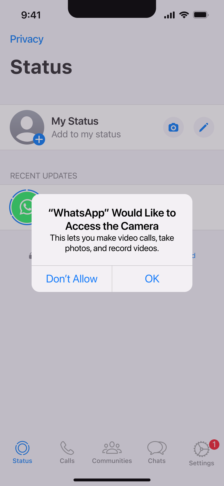 Camera access system alert over the status tab.