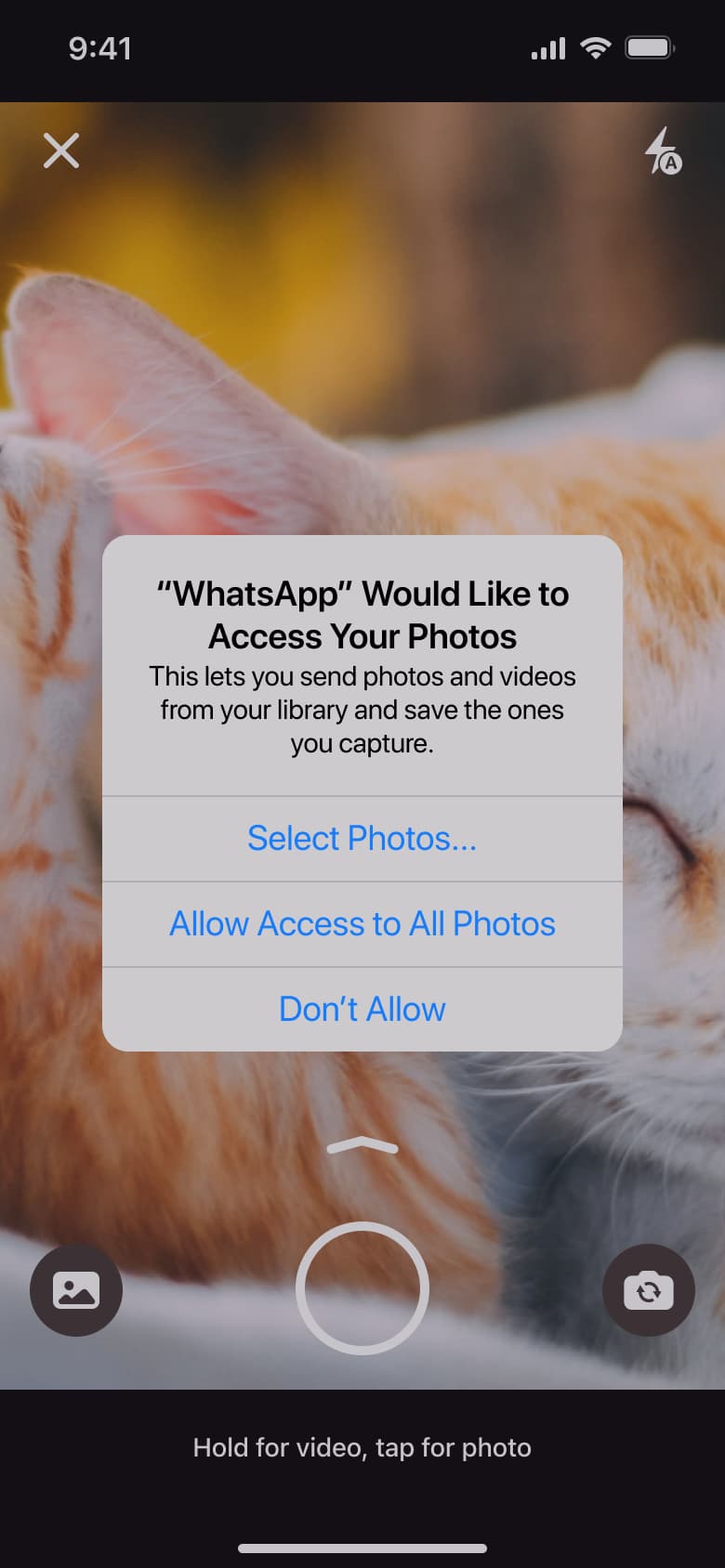 Photo library access alert over camera.