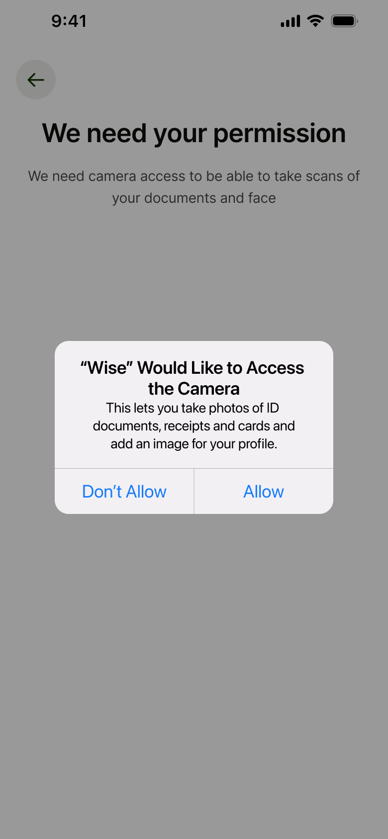 We need your permission: camera access system alert.